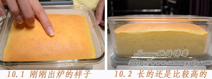 酸奶蛋糕的做法10