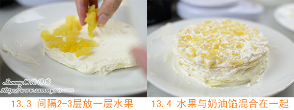 ǧ㵰13.3